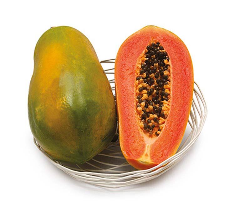 Papaya Bela Nova